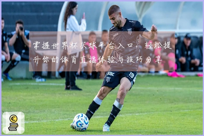 掌握世界杯买球平台入口，轻松提升你的体育直播体验与技巧分享