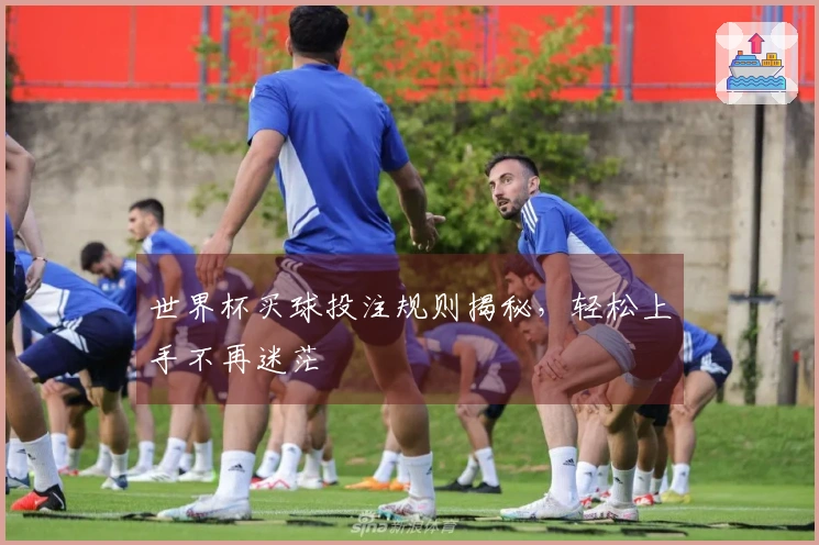 世界杯买球投注规则揭秘，轻松上手不再迷茫