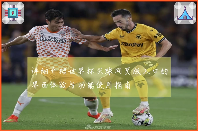 详细介绍世界杯买球网页版入口的界面体验与功能使用指南