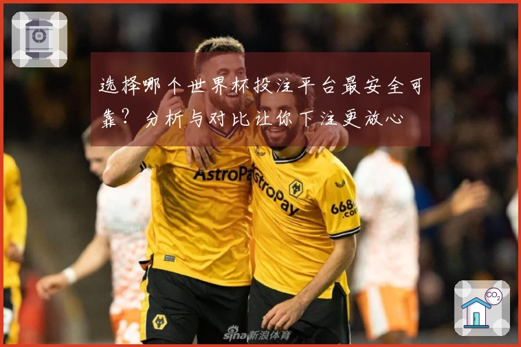 选择哪个世界杯投注平台最安全可靠？分析与对比让你下注更放心