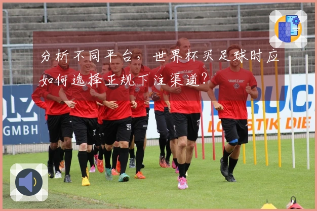 分析不同平台，世界杯买足球时应如何选择正规下注渠道？