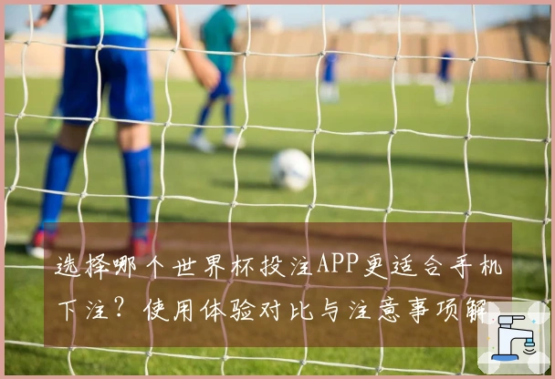 选择哪个世界杯投注APP更适合手机下注？使用体验对比与注意事项解析