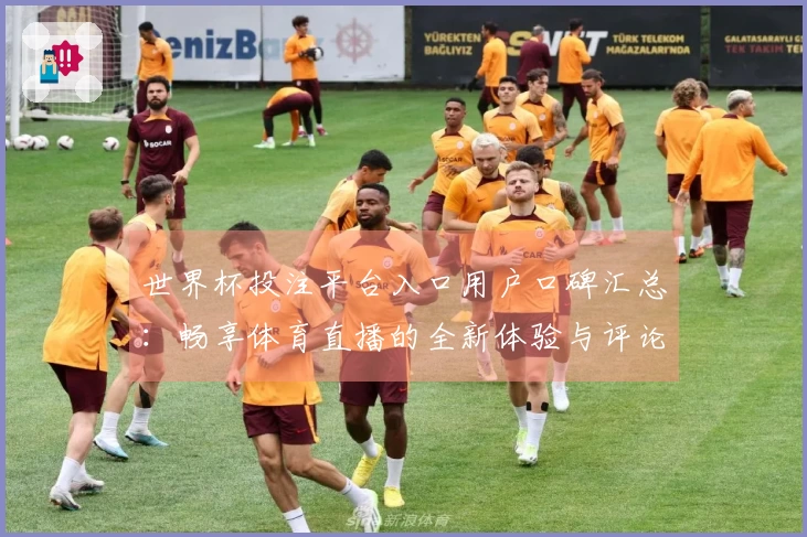 世界杯投注平台入口用户口碑汇总：畅享体育直播的全新体验与评论分析