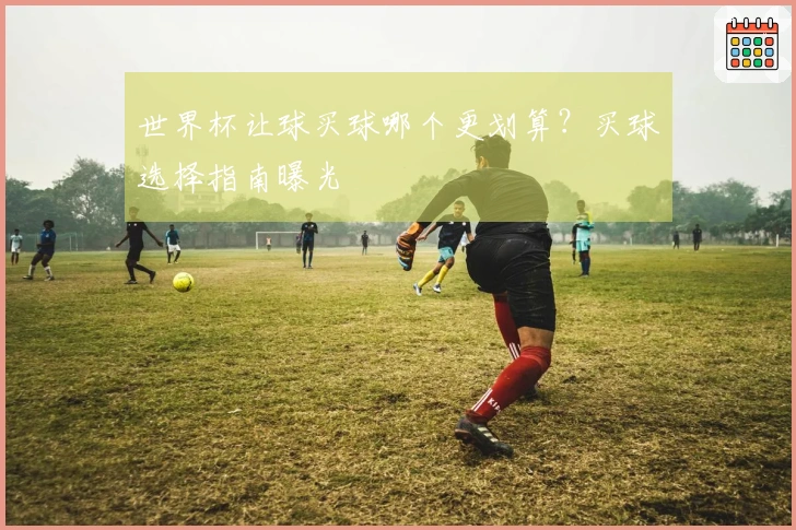 世界杯让球买球哪个更划算？买球选择指南曝光