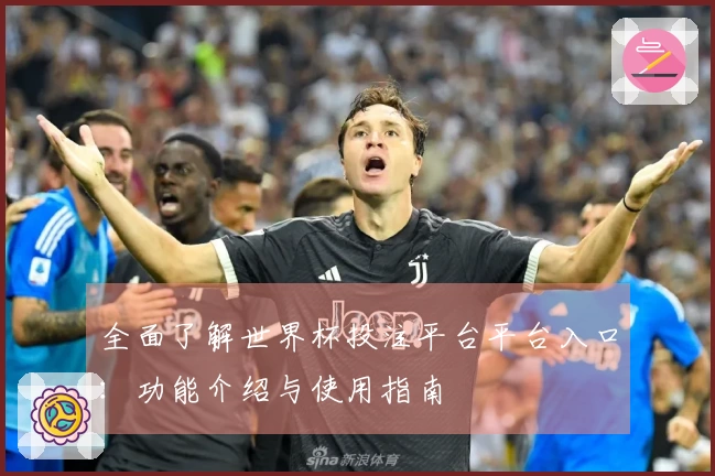 全面了解世界杯投注平台平台入口：功能介绍与使用指南