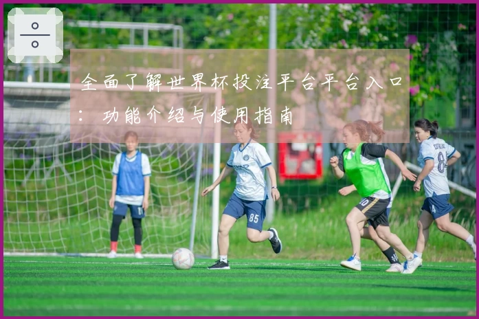 全面了解世界杯投注平台平台入口：功能介绍与使用指南