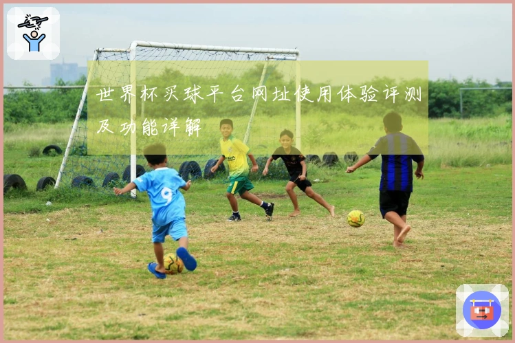 世界杯买球平台网址使用体验评测及功能详解