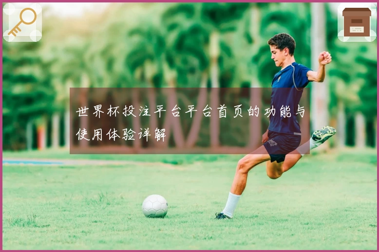 世界杯投注平台平台首页的功能与使用体验详解