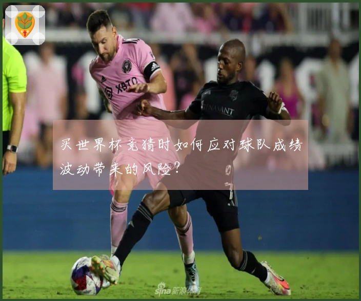 买世界杯竞猜时如何应对球队成绩波动带来的风险？