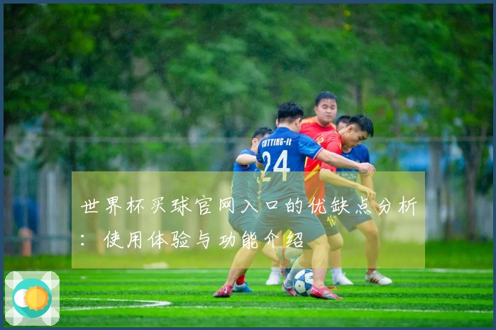 世界杯买球官网入口的优缺点分析：使用体验与功能介绍
