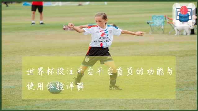 世界杯投注平台平台首页的功能与使用体验详解