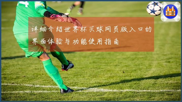 详细介绍世界杯买球网页版入口的界面体验与功能使用指南