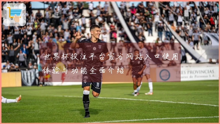世界杯投注平台官方网站入口使用体验与功能全面介绍