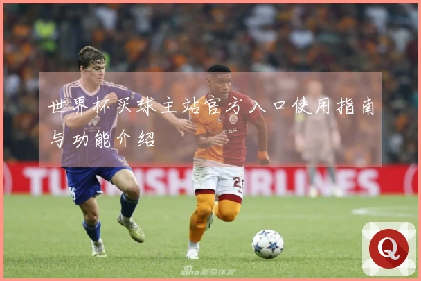 世界杯买球主站官方入口使用指南与功能介绍