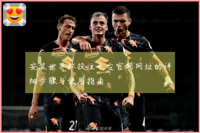 安装世界杯投注平台官网网址的详细步骤与使用指南